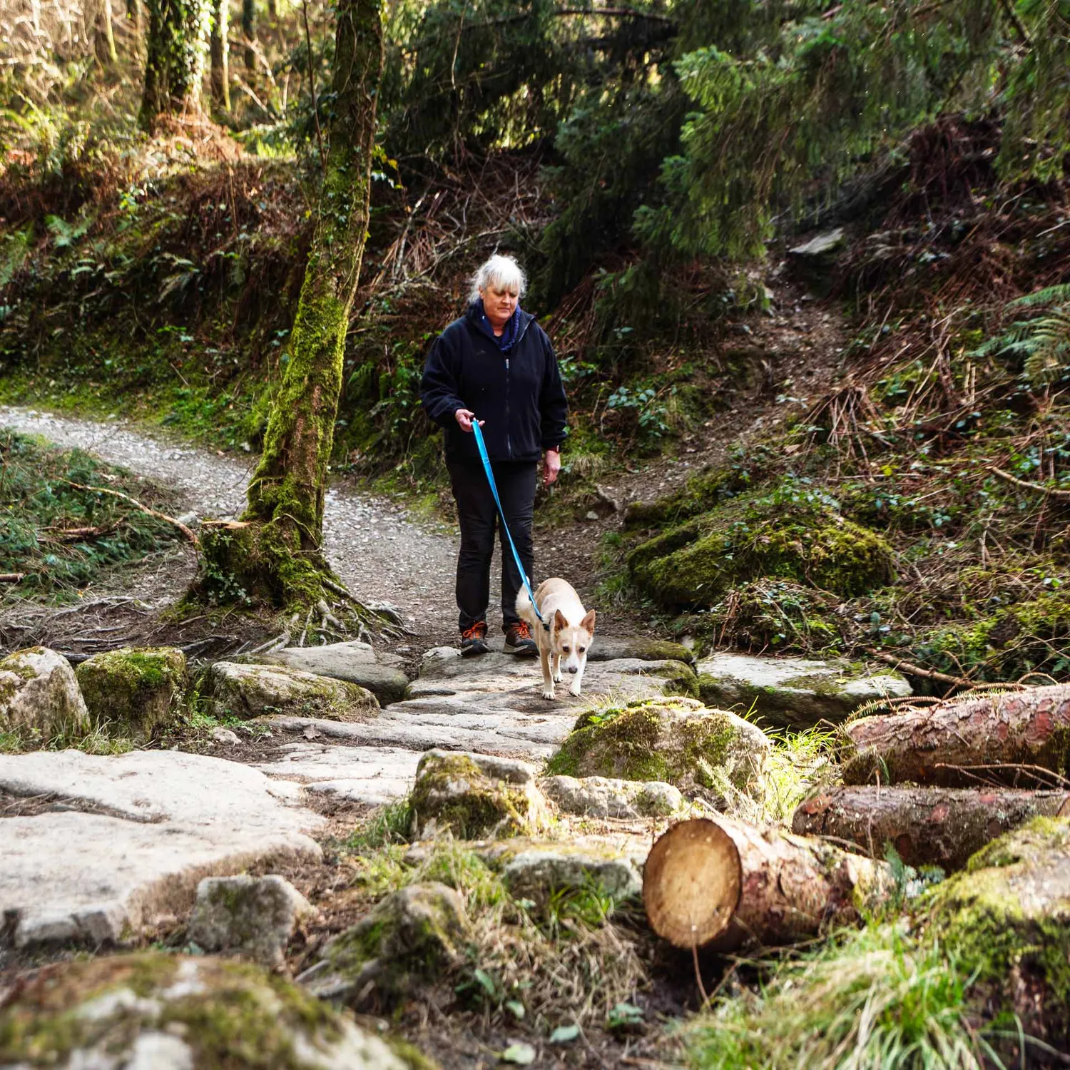 Mountain Paws Lead guinzaglio impermeabile per cani