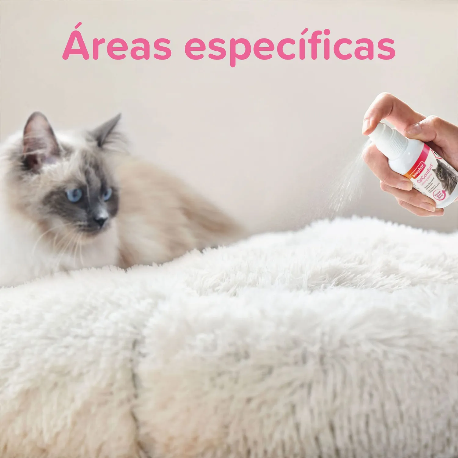 Beaphar CatComfort Spray Gatti 60 ml ai feromoni