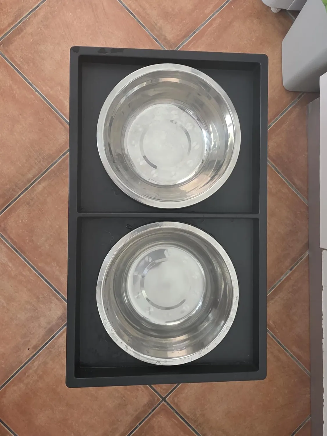Joytale Ciotole Rialzate supporto 22-45 cm 2 ciotole inox