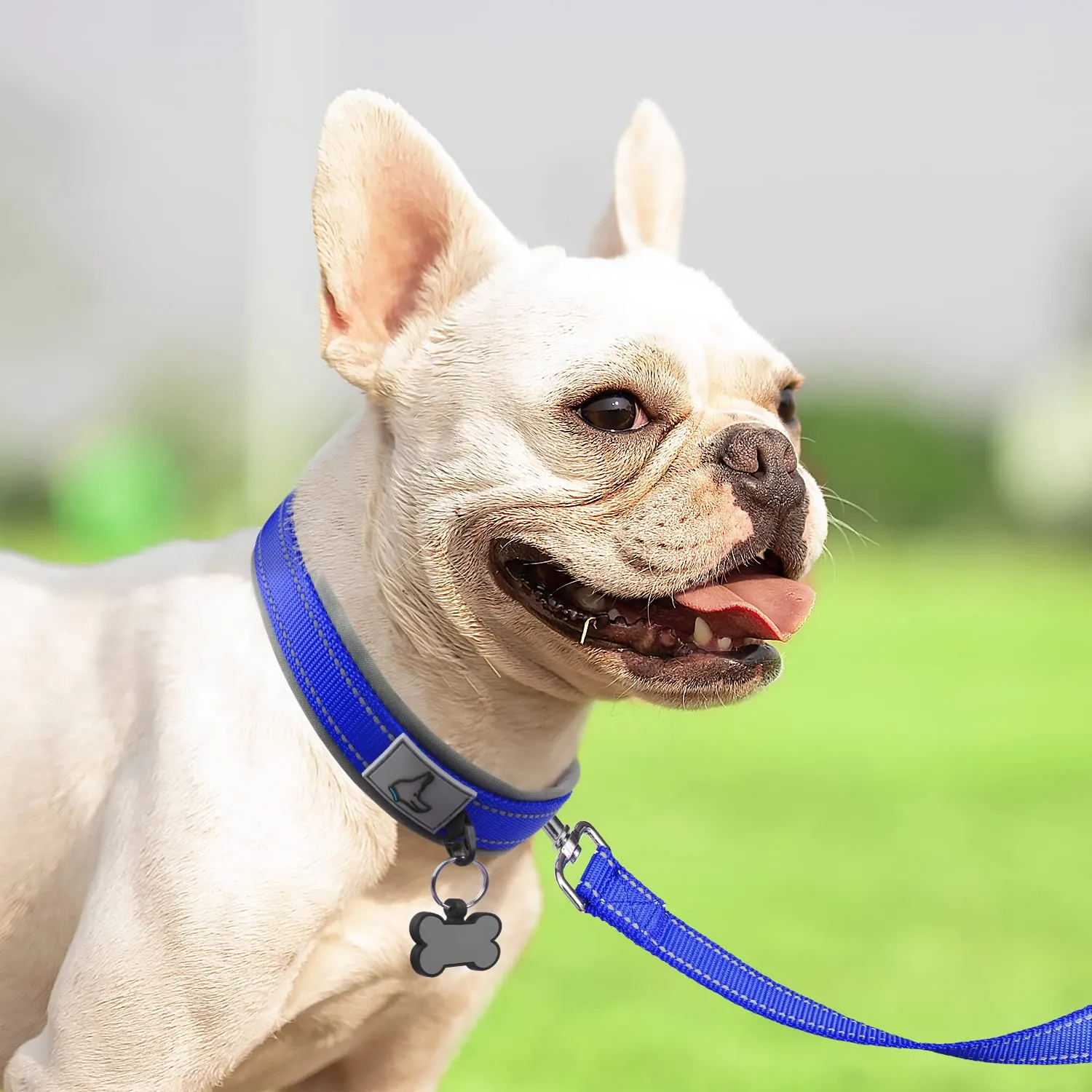 Joytale Collare Cane Imbottito Blu Scuro Taglia S Riflettente