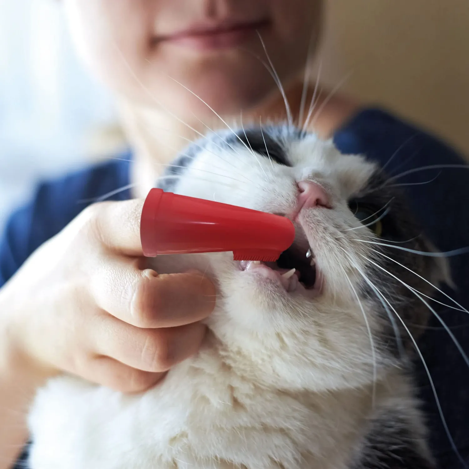 Beaphar Spazzolino da Dito spazzolino morbido cane placca
