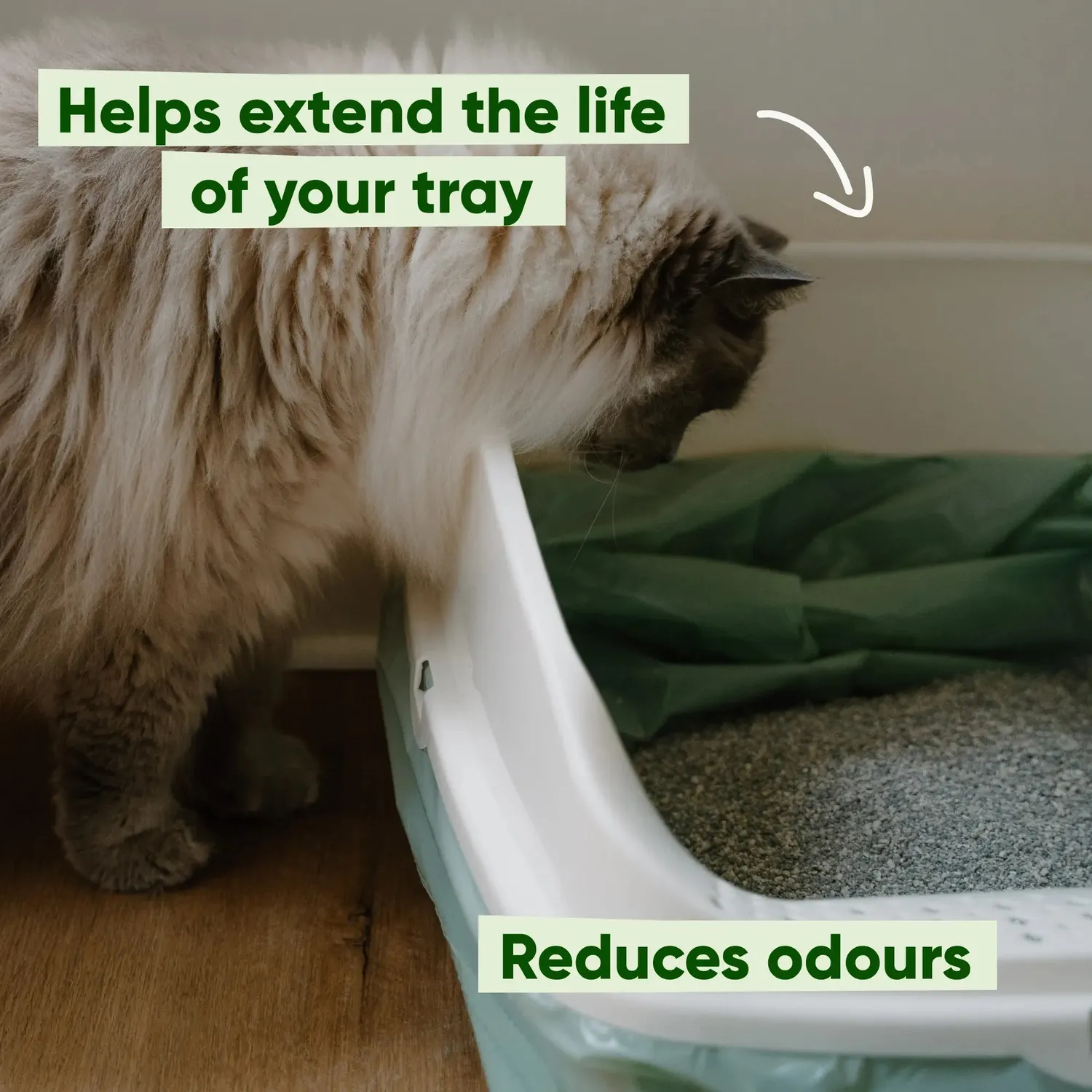 Beco Pets fodere lettiera gatto extraspesse con lacci