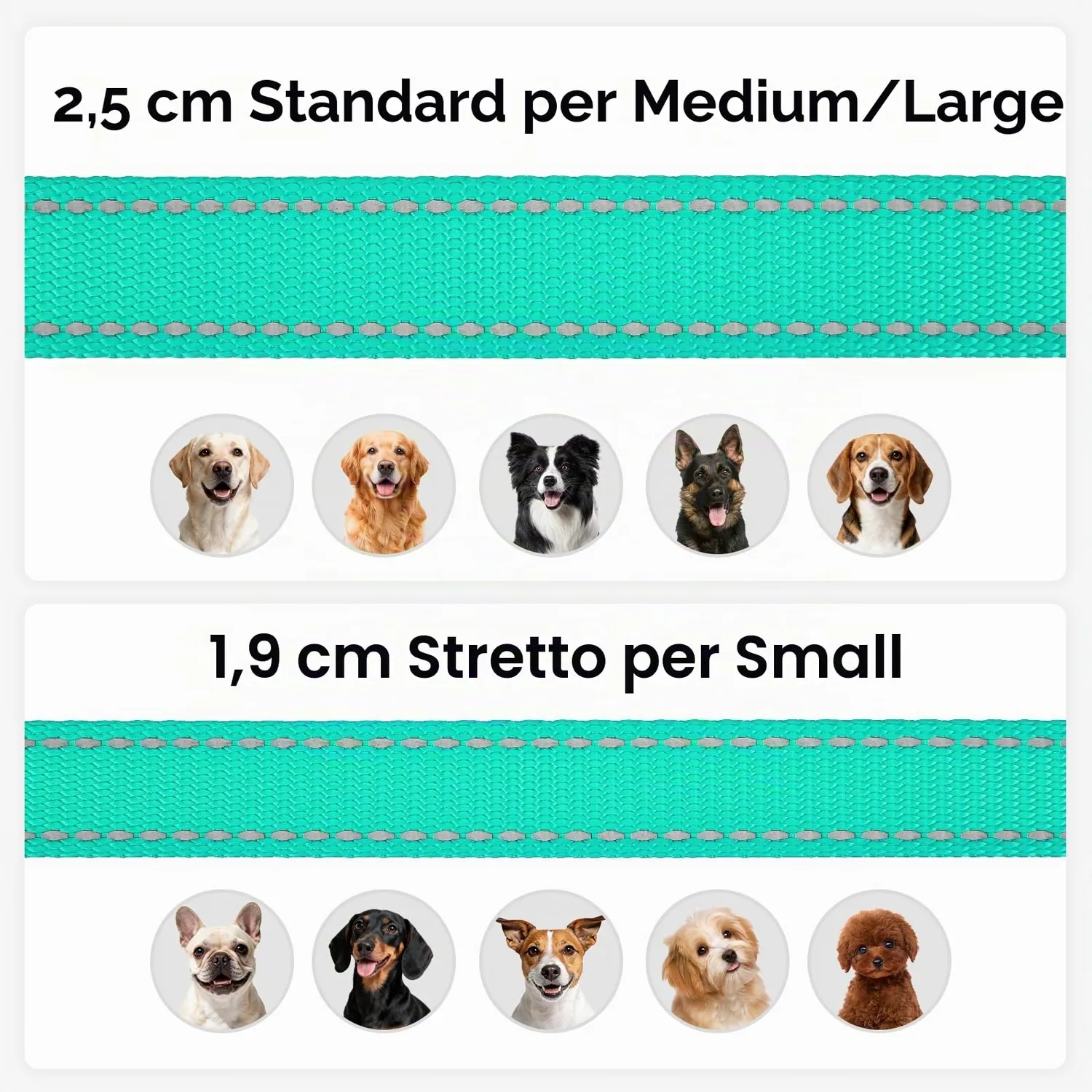 Joytale Guinzaglio Catarifrangente Turchese 1,8 m x 2,5 cm Imbottito