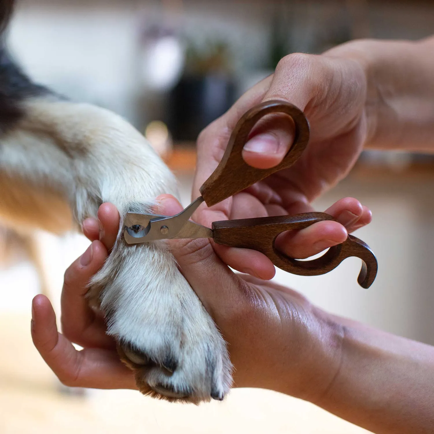Mountain Paws Nail Clippers tagliaunghie lama curva