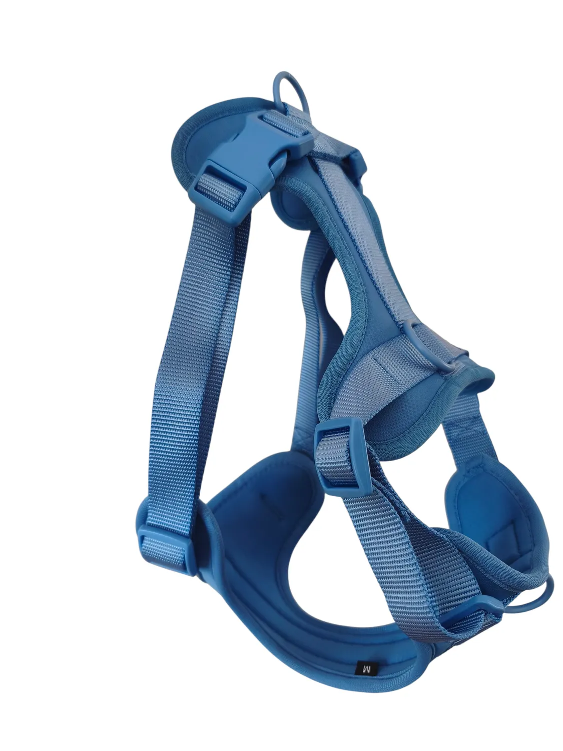 Anja for Dogs Star pettorina azzurra imbottita
