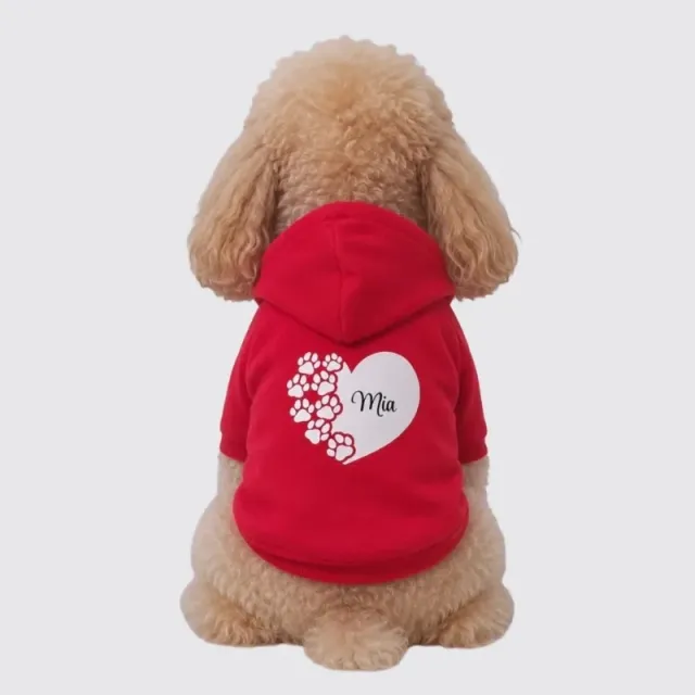 LabArt Dog Valentine Edition felpa cane cotone edizione limitata