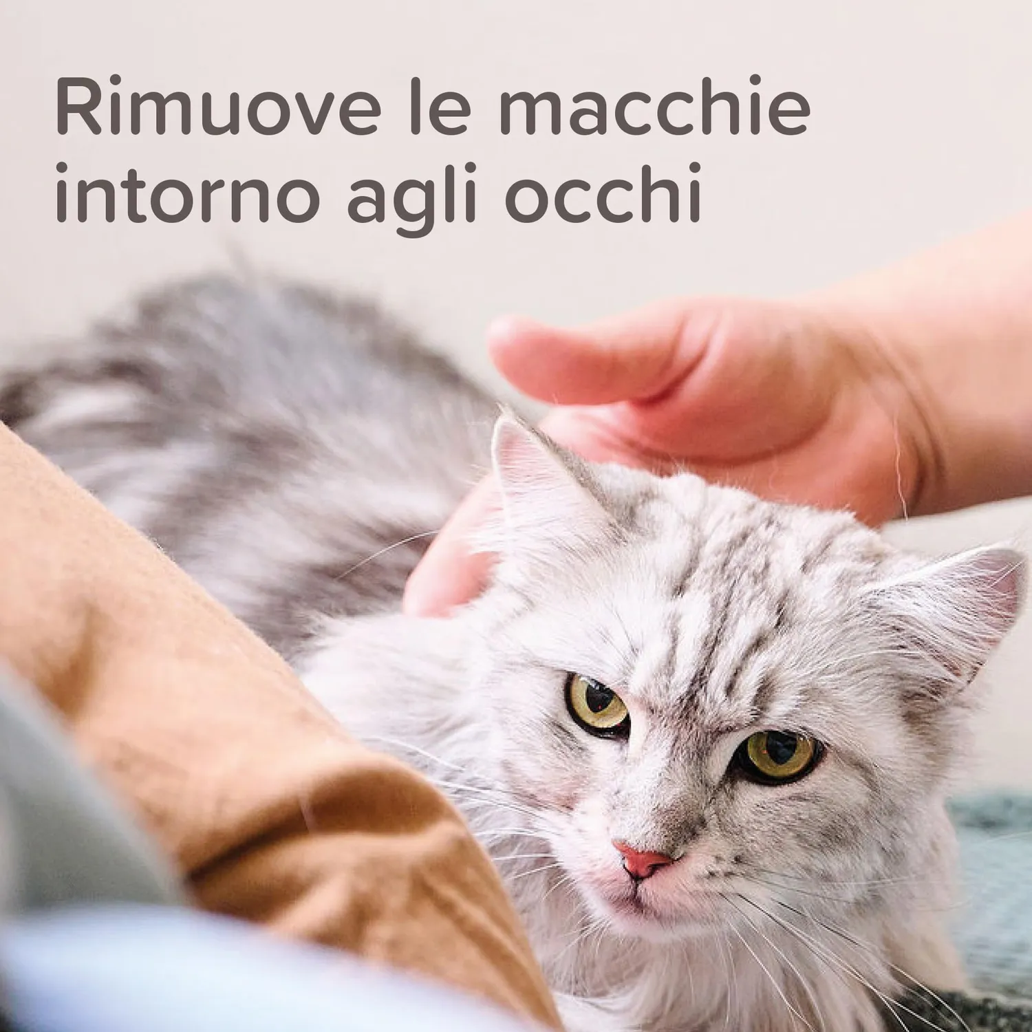 Beaphar Tear Stain Remover detergente occhi 50 ml cani gatti
