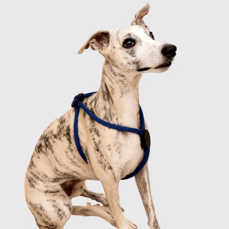 LabArt Dog EasyStride guinzaglio vino 10 mm