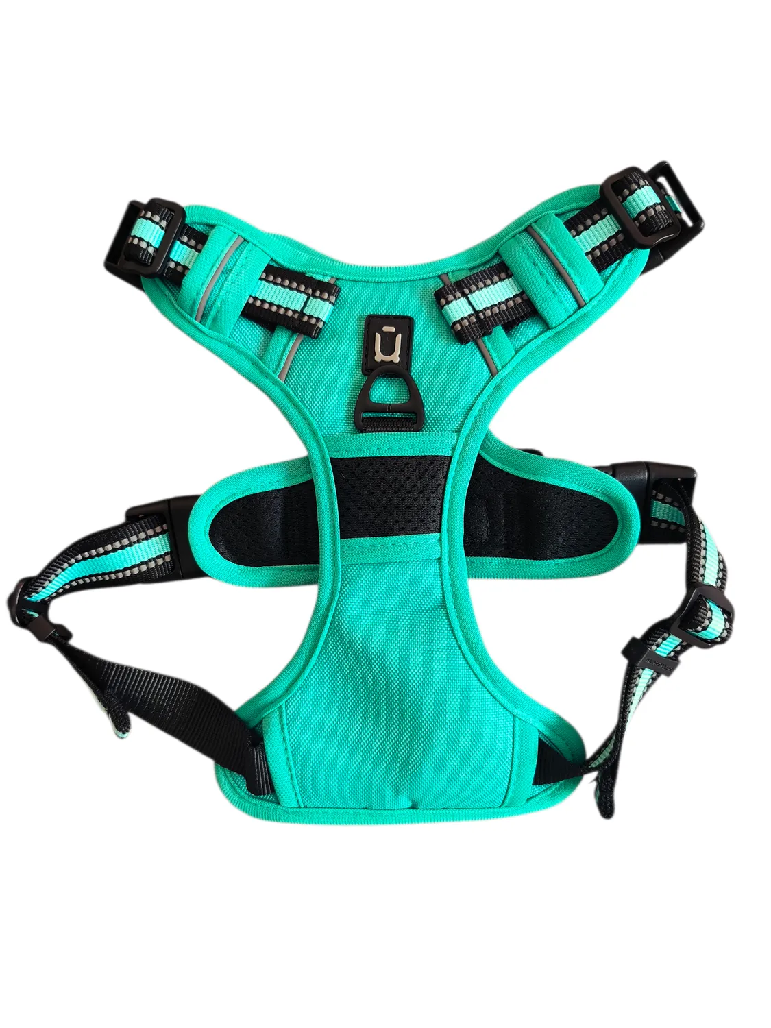 Anja for Dogs Plus pettorina verde acqua imbottita