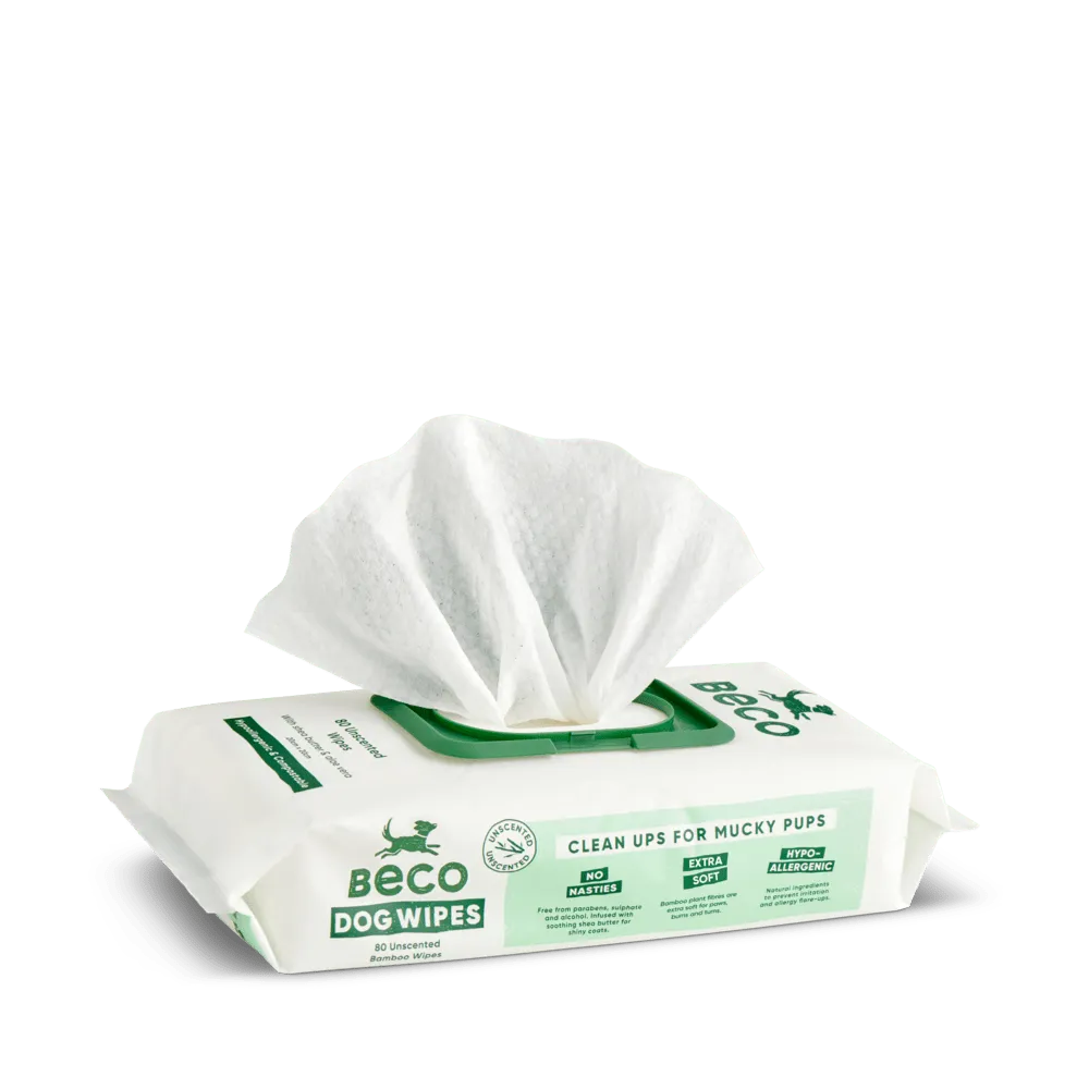 Beco Pets Salviette cane cocco neutre 80 pezzi spesse