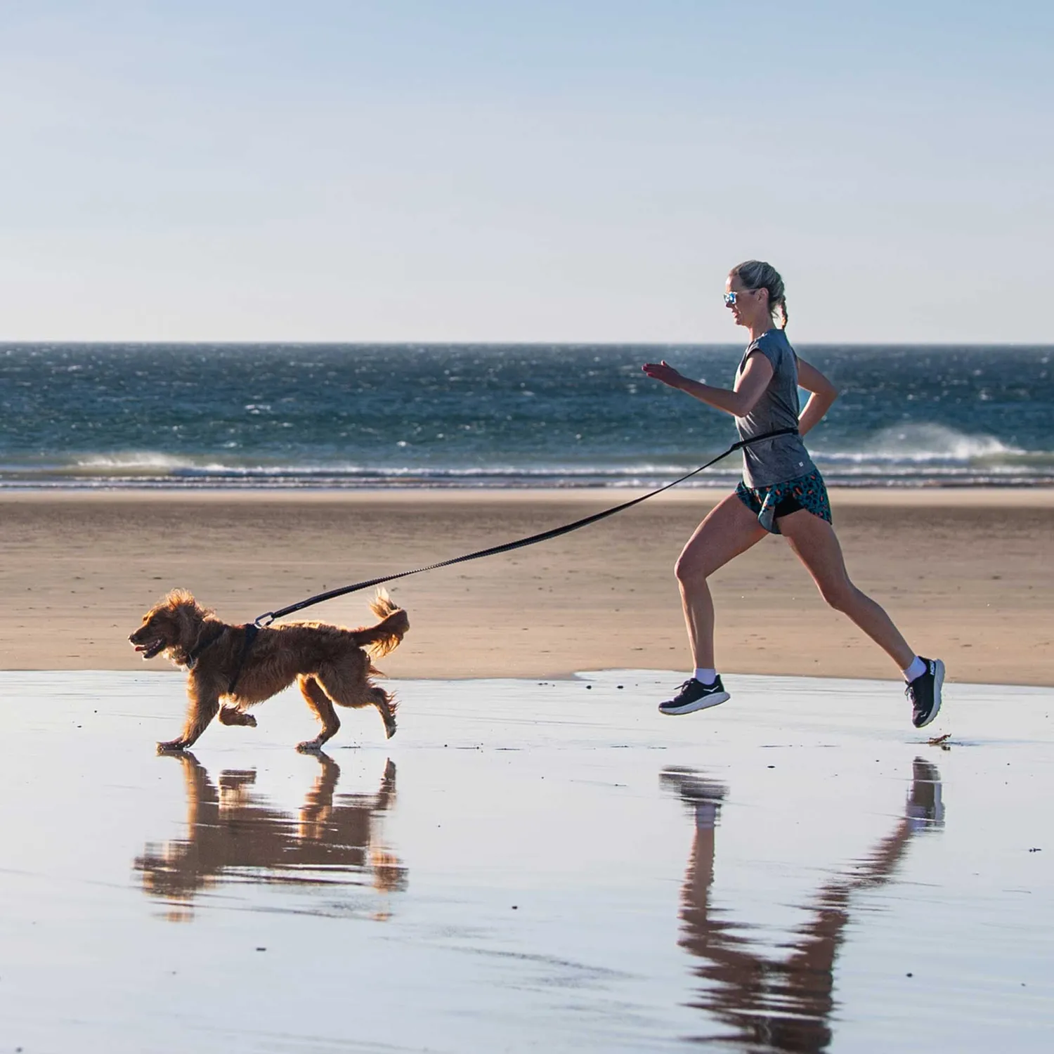 Mountain Paws Shock Absorber guinzaglio ammortizzato running