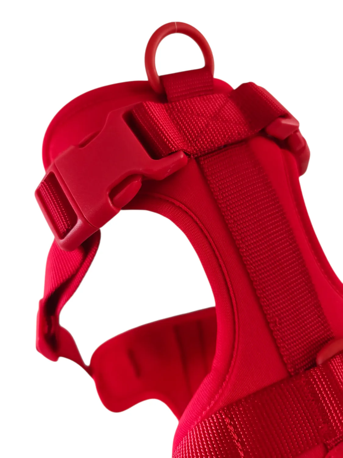 Anja for Dogs Star pettorina rossa imbottita regolabile