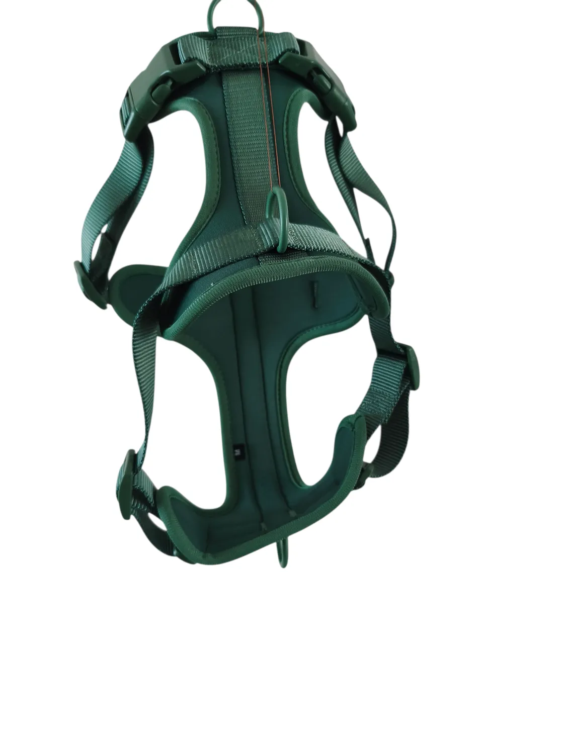 Anja for Dogs Star pettorina verde imbottita
