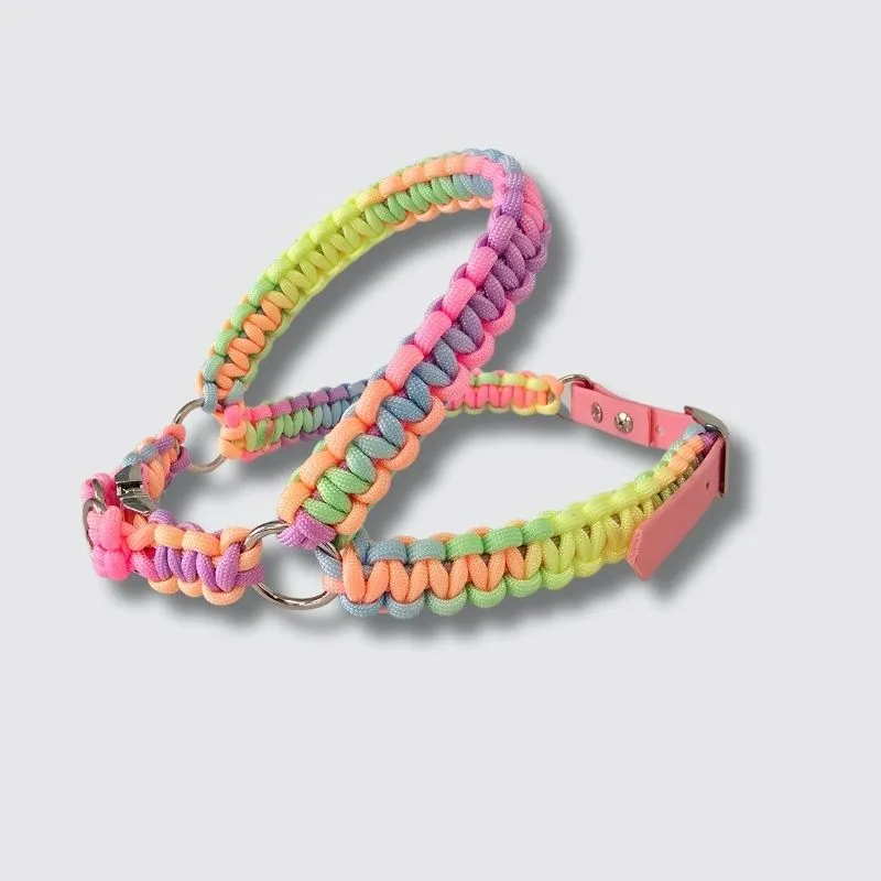 LabArt Dog Lead Rope Toy 4 fili guinzaglio paracord toy