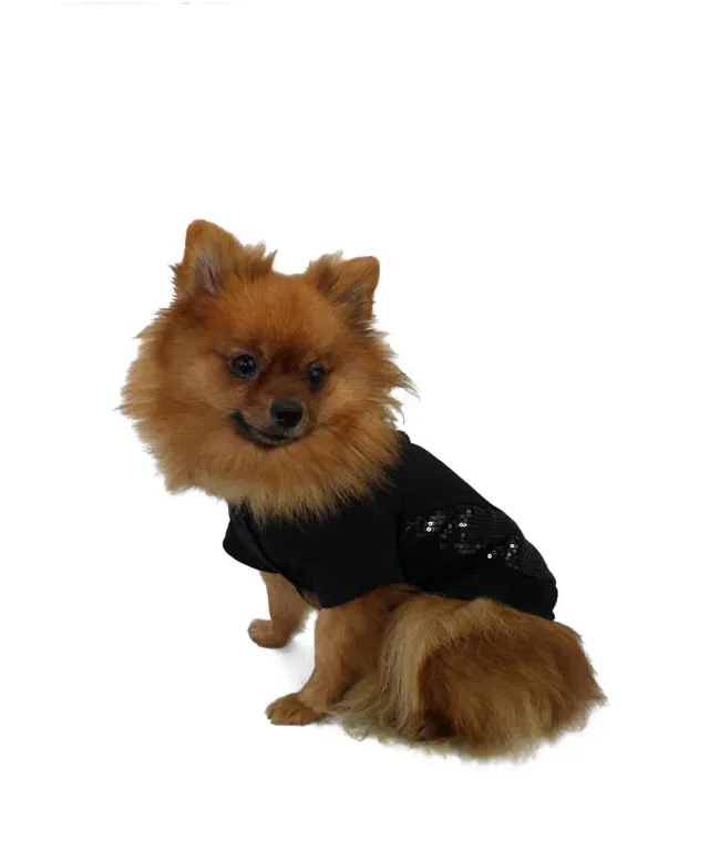 Royal Dog Milano felpa cane nera paillettes total black