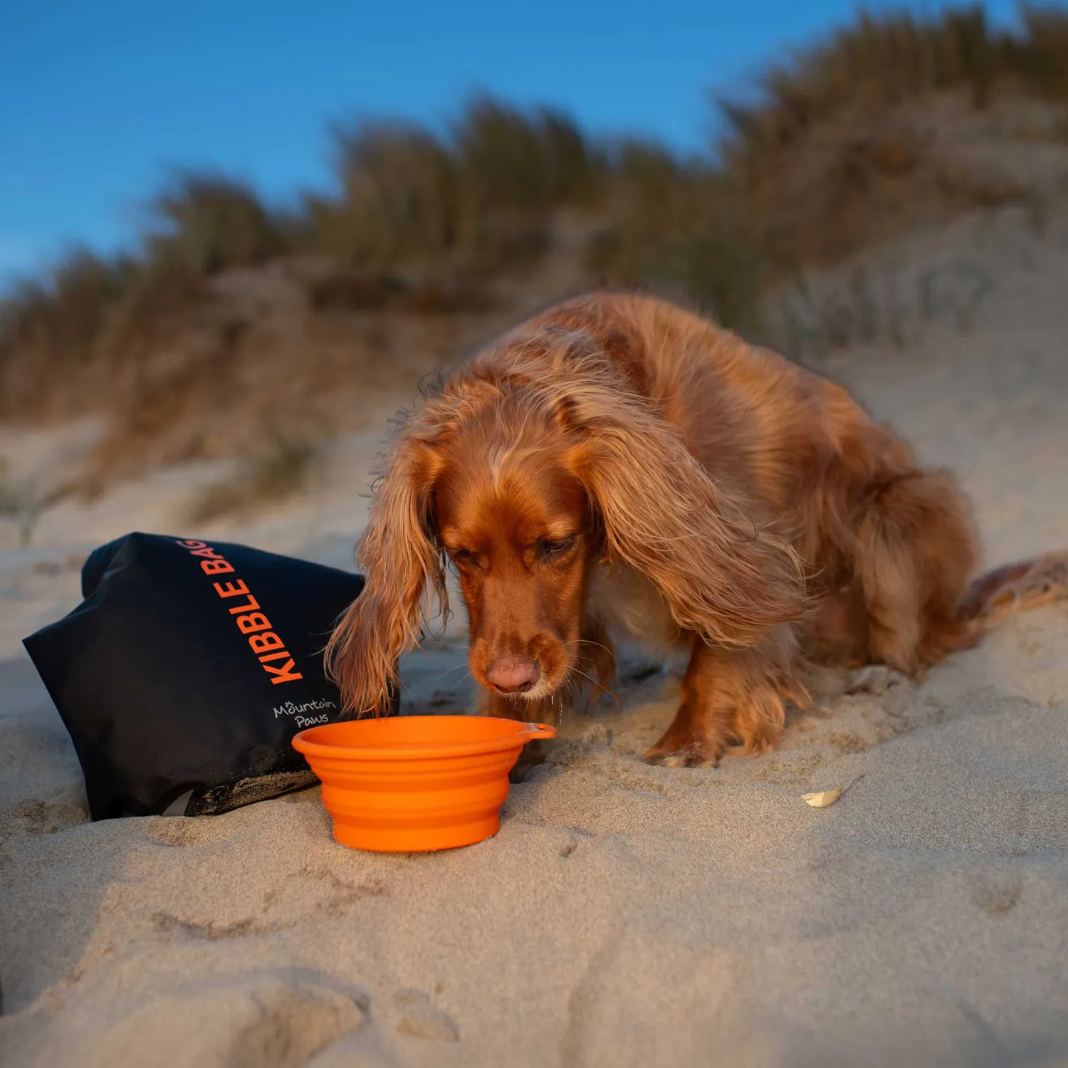 Mountain Paws Kibble Bag sacca cibo cane con ciotola
