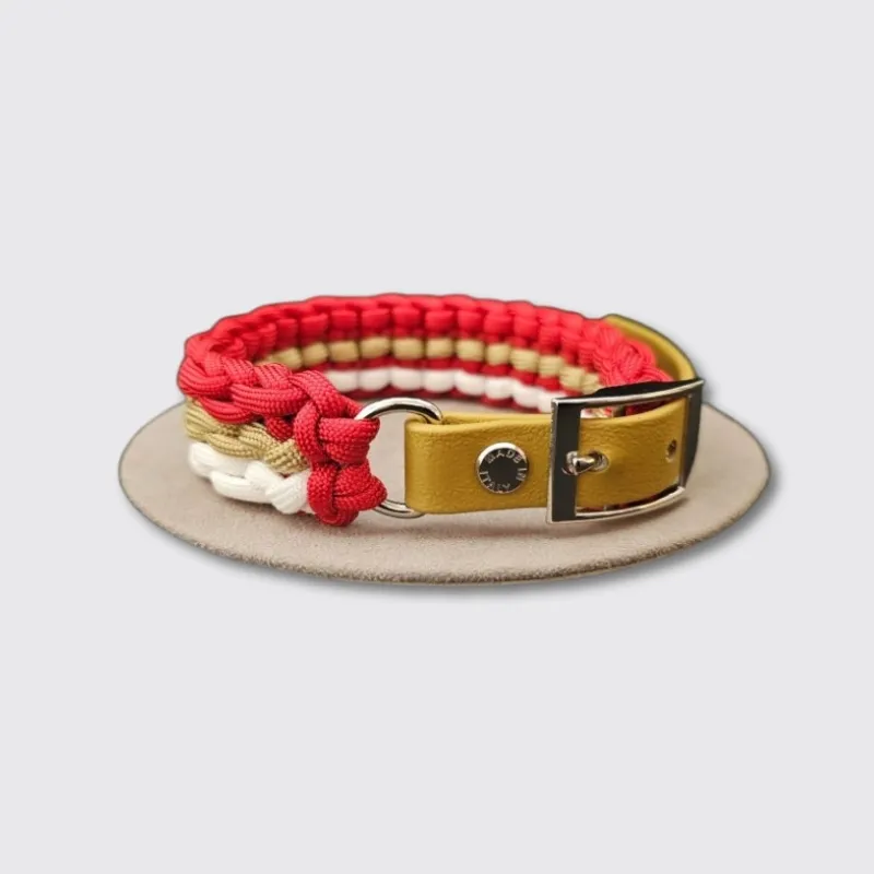 LabArt Dog Mini Manetta collare natalizio toy