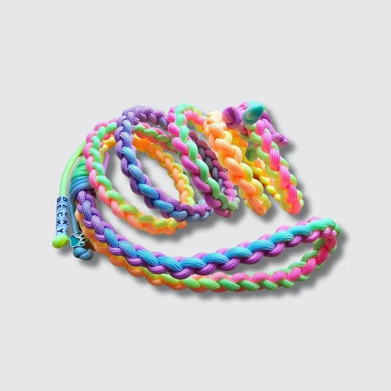 LabArt Dog Y 2.0 Agrigento pettorina paracord biothane