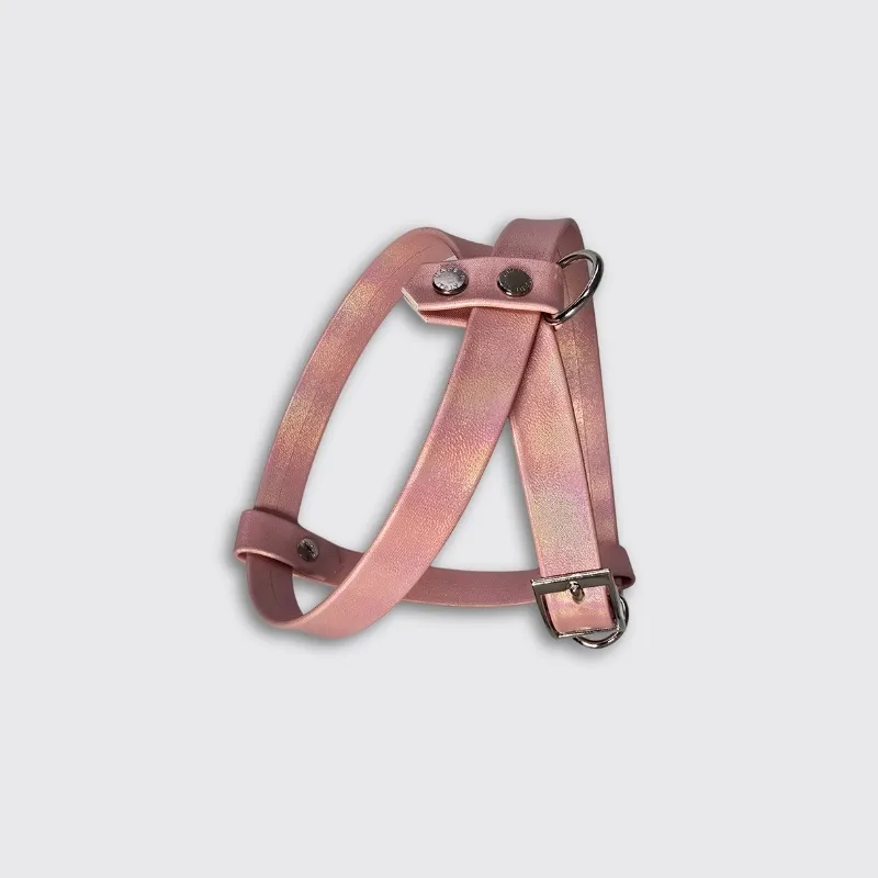 LabArt Dog Heritage pettorina ecopelle argento