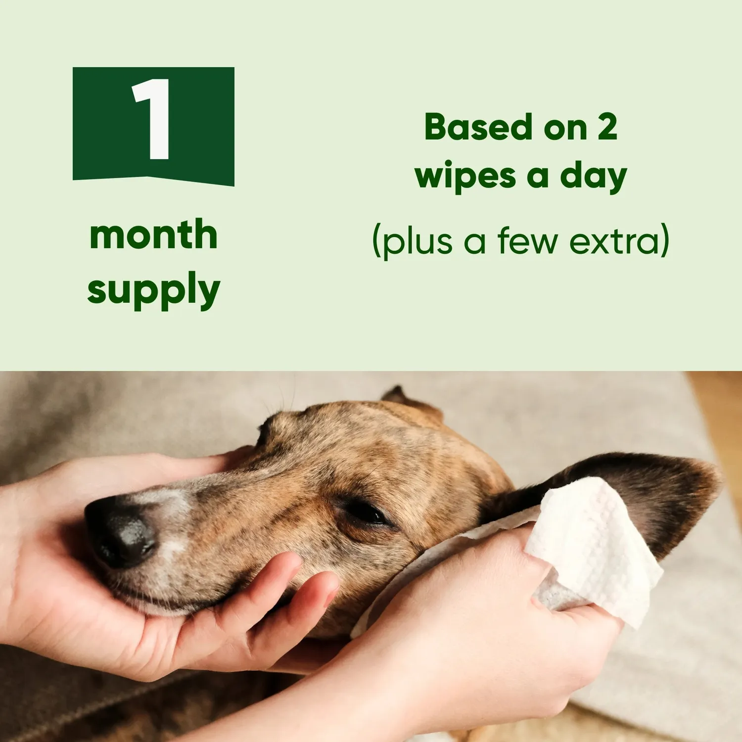 Beco Pets Salviette Pulizia Orecchie Cane Cocco