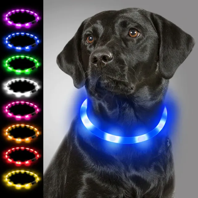 Joytale Collare luminoso LED blu USB taglia unica 70 cm visibile