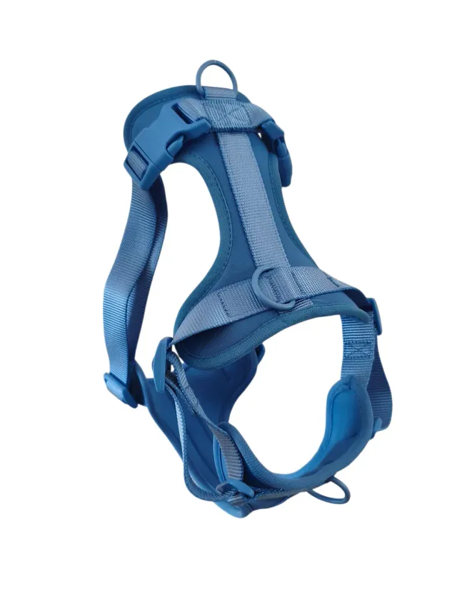 Anja for Dogs Star pettorina azzurra imbottita