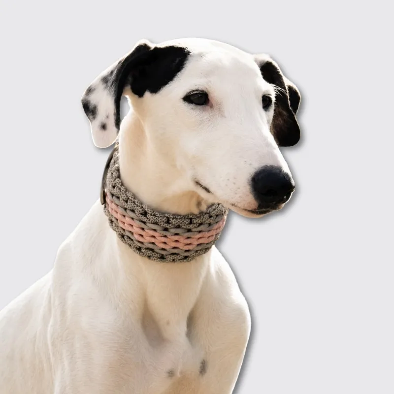 LabArt Dog Manetta collare paracord martingale