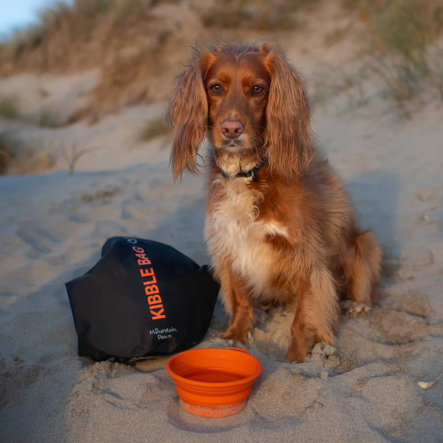 Mountain Paws Kibble Bag sacca cibo cane con ciotola