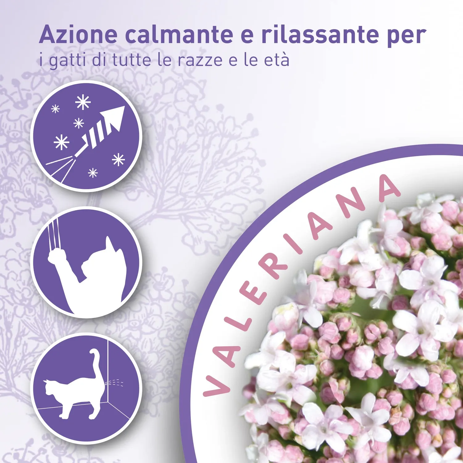 Beaphar No Stress Collare Gatto 35 cm Valeriana