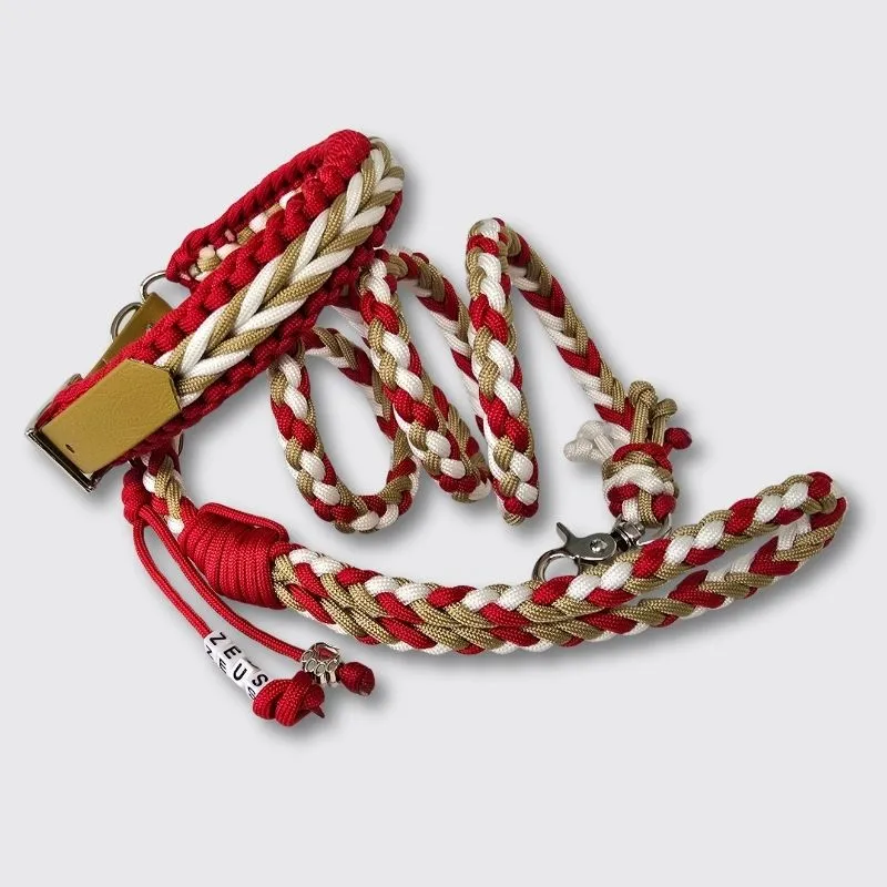 LabArt Dog Treccia 6 fili Christmas guinzaglio grande