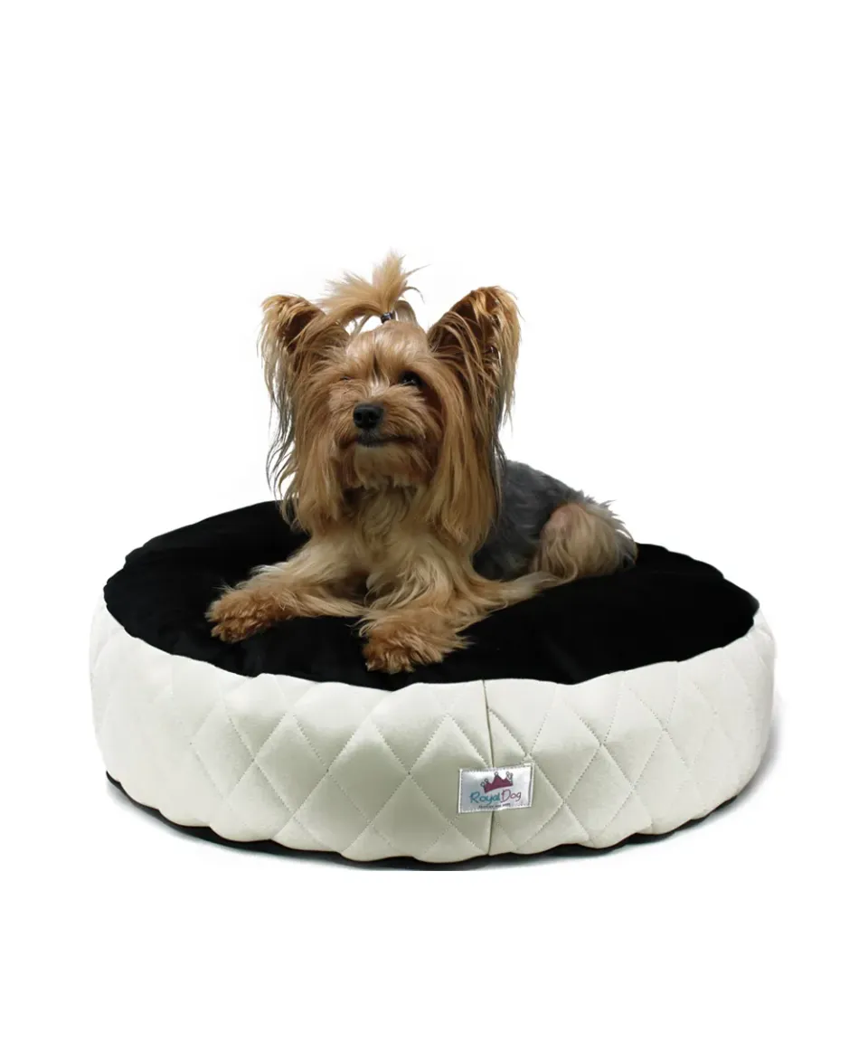 Royal Dog All You Need Is Sleep cuscino cane velluto