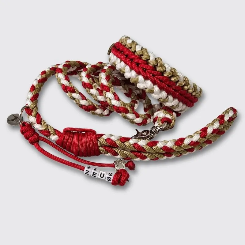 LabArt Dog Dolly Christmas collare cane toy biothane