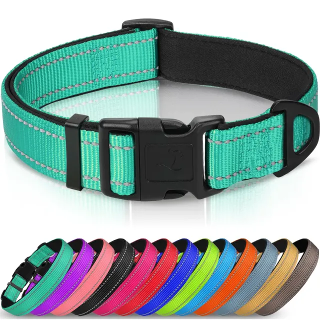 Joytale Collare Riflettente collare L 40-60 cm teal