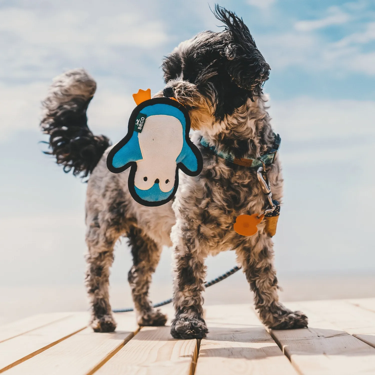 Beco Pets Plush Penguin giocattolo cane peluche morbido