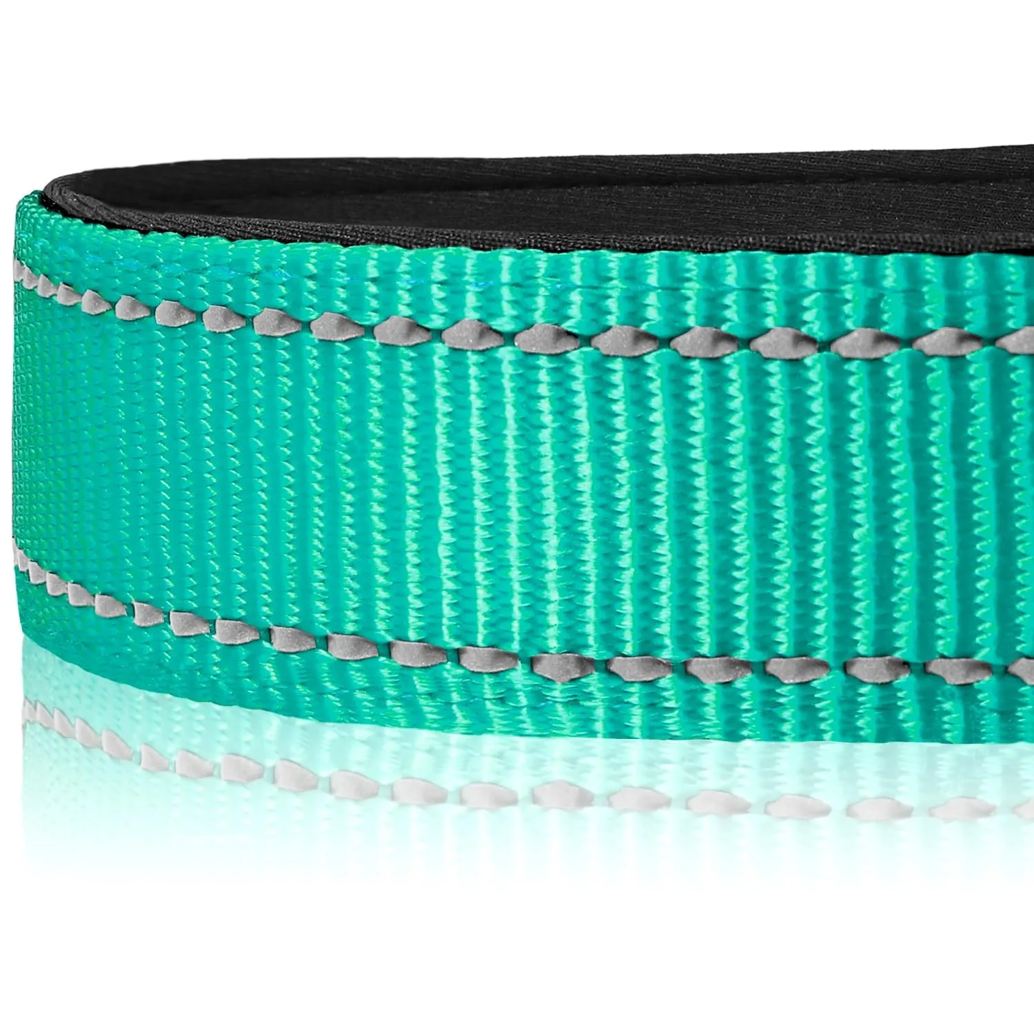 Joytale Collare Riflettente collare L 40-60 cm teal