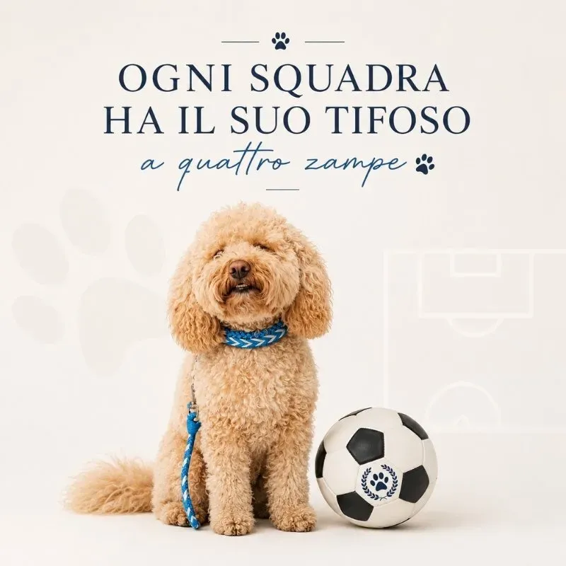 LabArt Dog Supporter guinzaglio e collare mini toy Napoli