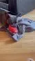 Mountain Paws Rugby Ball giocattolo per cani resistente