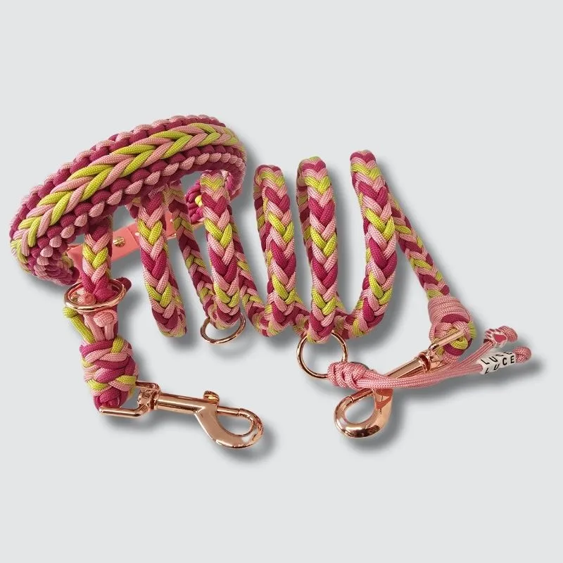 LabArt Dog Little Benjamin collare regolabile paracord