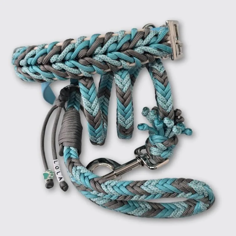 LabArt Dog Heartbeat collare cane grande resistente