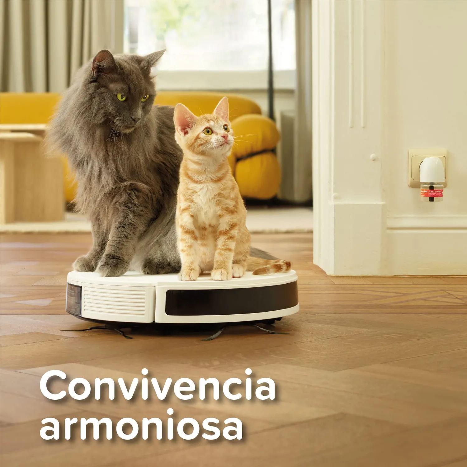 Beaphar CatComfort Excellence ricarica gatto 48 ml feromoni