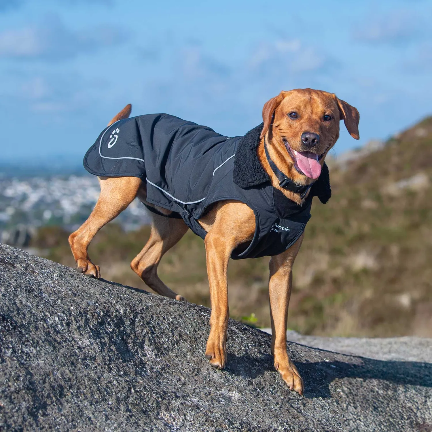 Mountain Paws Fleece Lined cappotto cane nero impermeabile