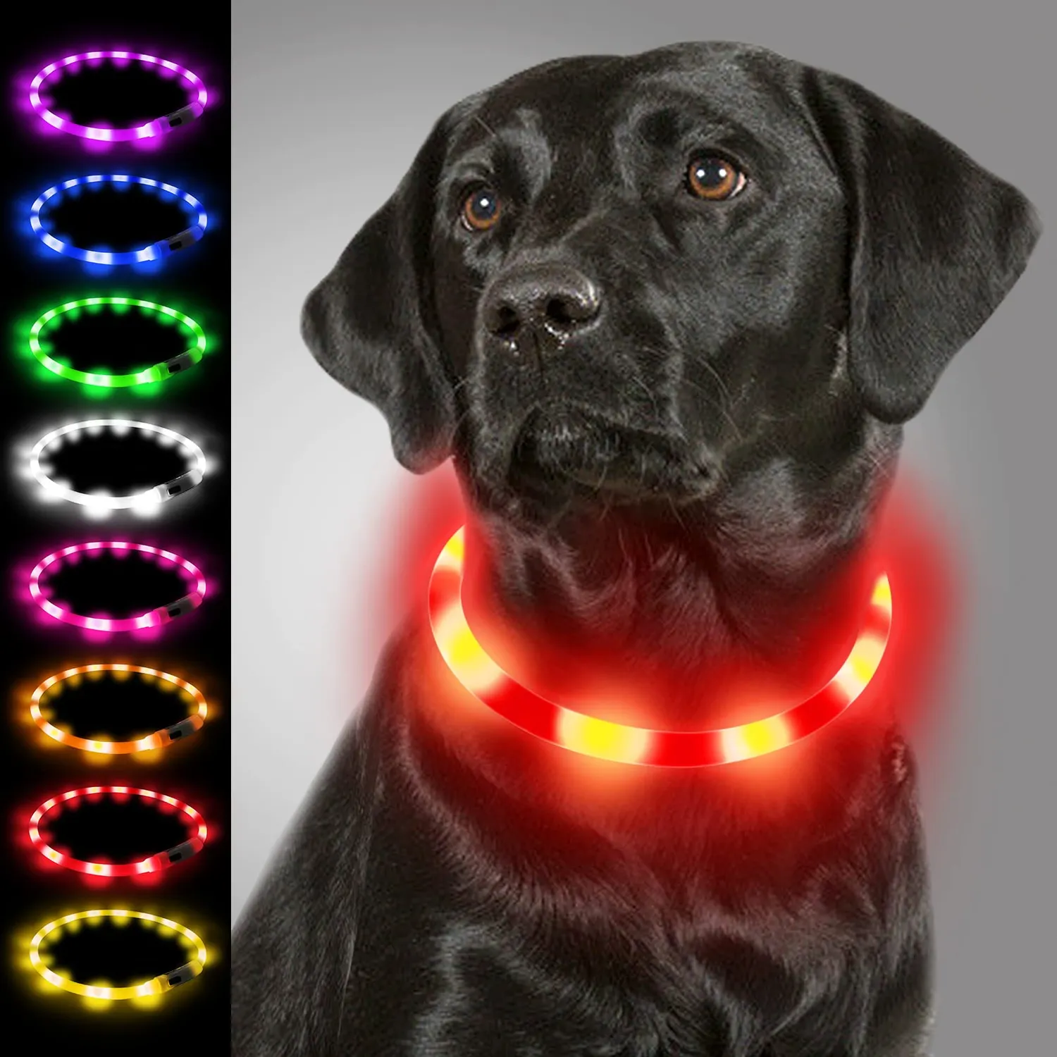 Joytale Collare luminoso LED blu USB taglia unica 70 cm visibile