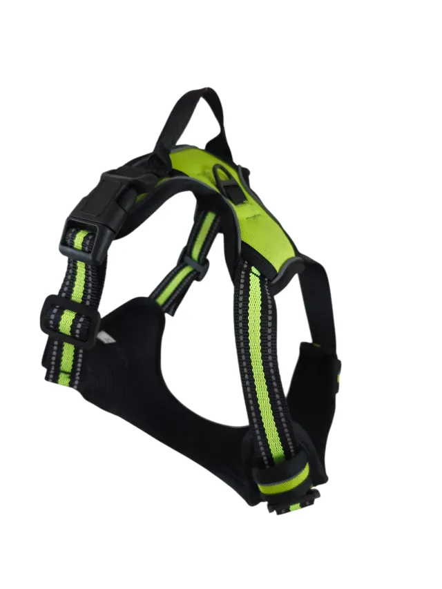 Anja for Dogs pettorina Comfort verde imbottita