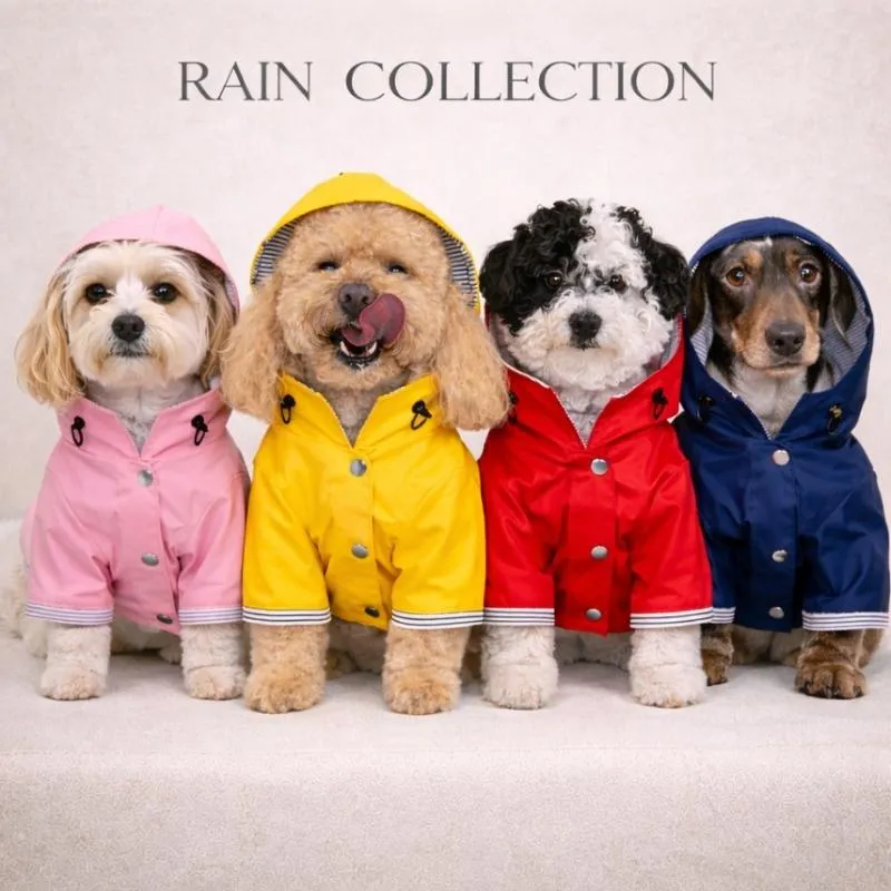 LabArt Dog Rain Collection impermeabile per cani fatto a mano