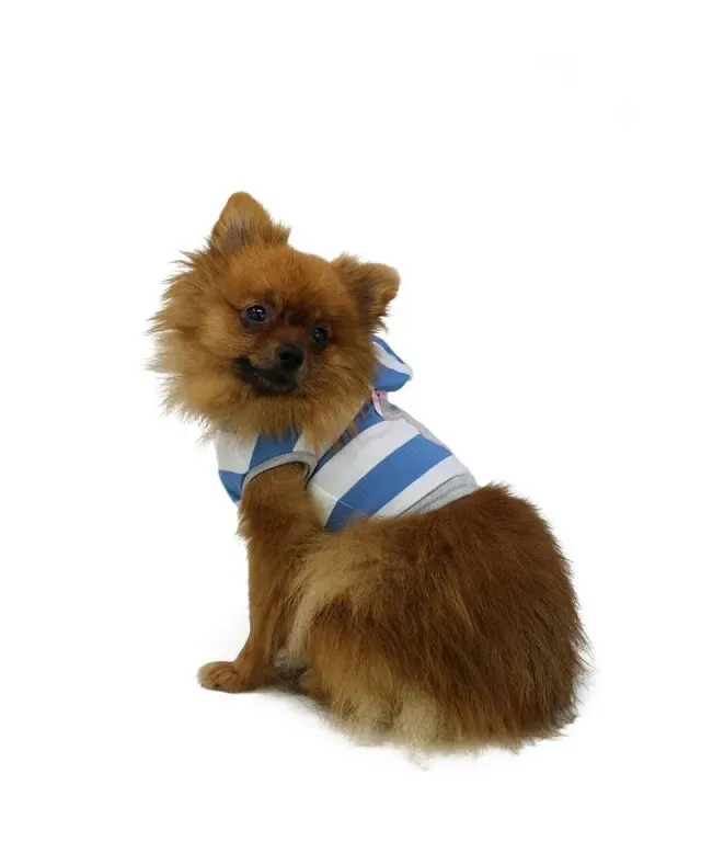 Royal Dog Lui & Lei rosa t-shirt cane cotone righe
