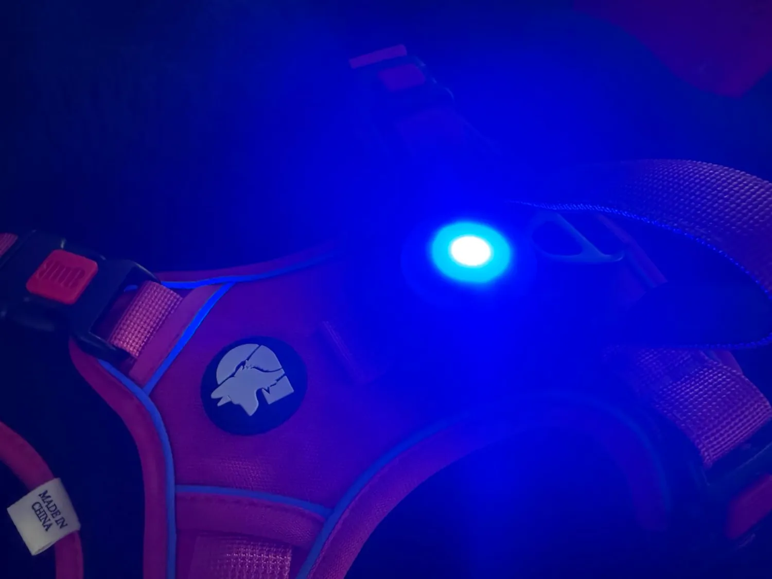 Joytale Pettorina LED Anti Tiro Blu M con Porta AirTag