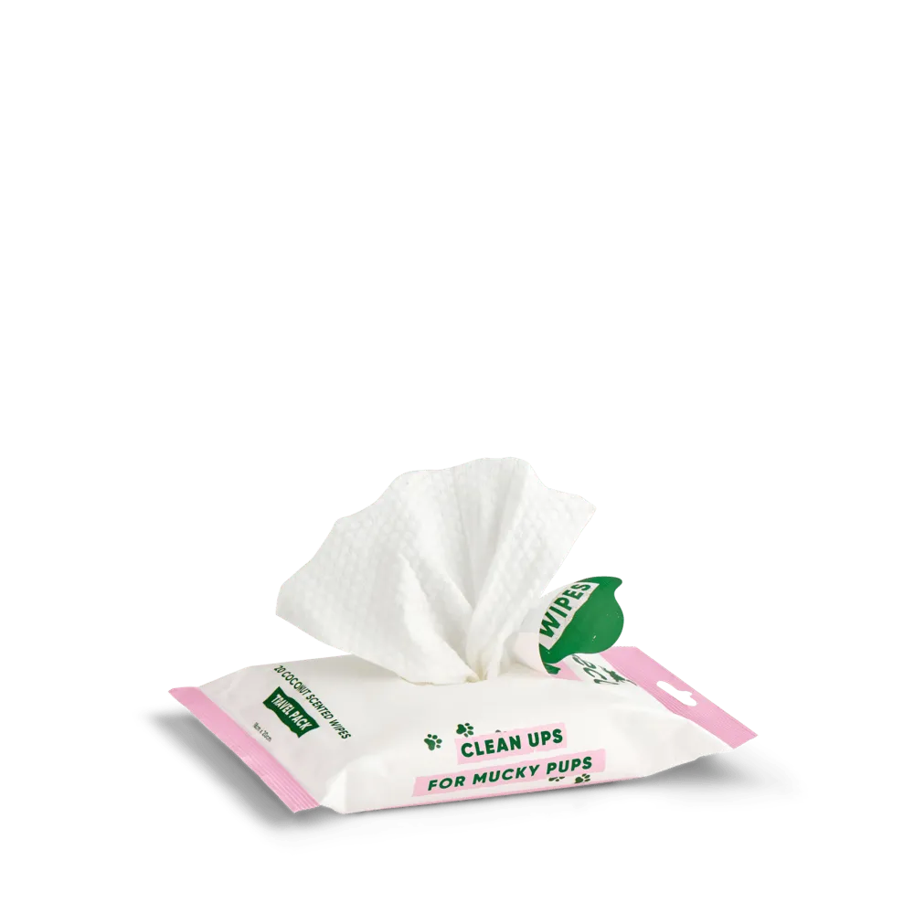 Beco Pets Salviette cane cocco neutre 80 pezzi spesse