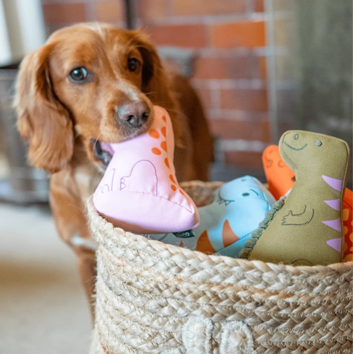 Beco Pets Plesiosauro peluche cane con squeak