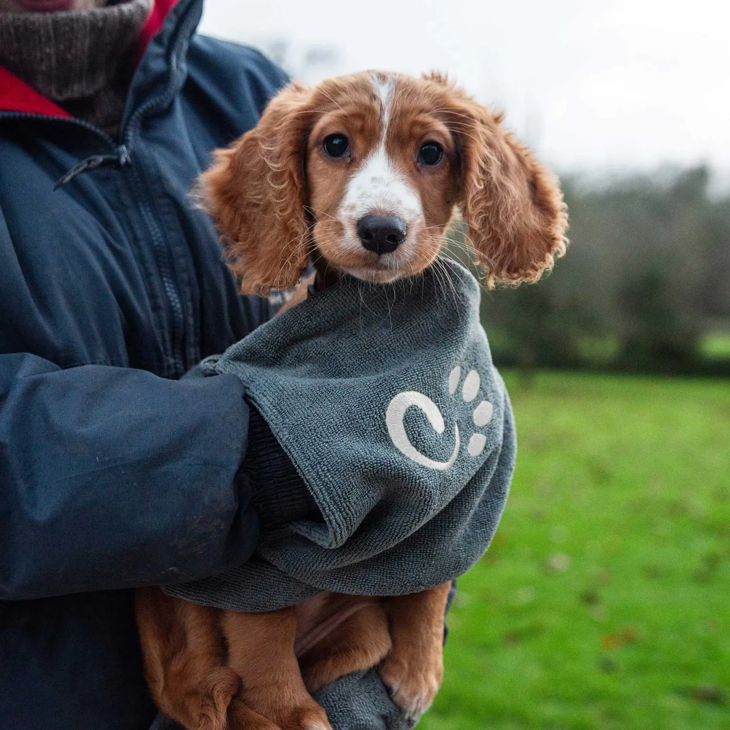 Mountain Paws Dog Towel telo cane microfibra tasche