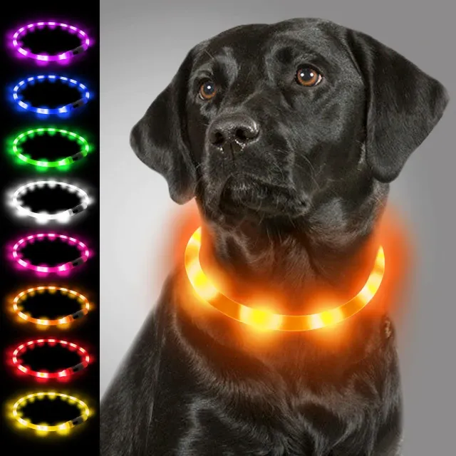 Joytale Collare Luminoso LED collare arancione ricaricabile USB